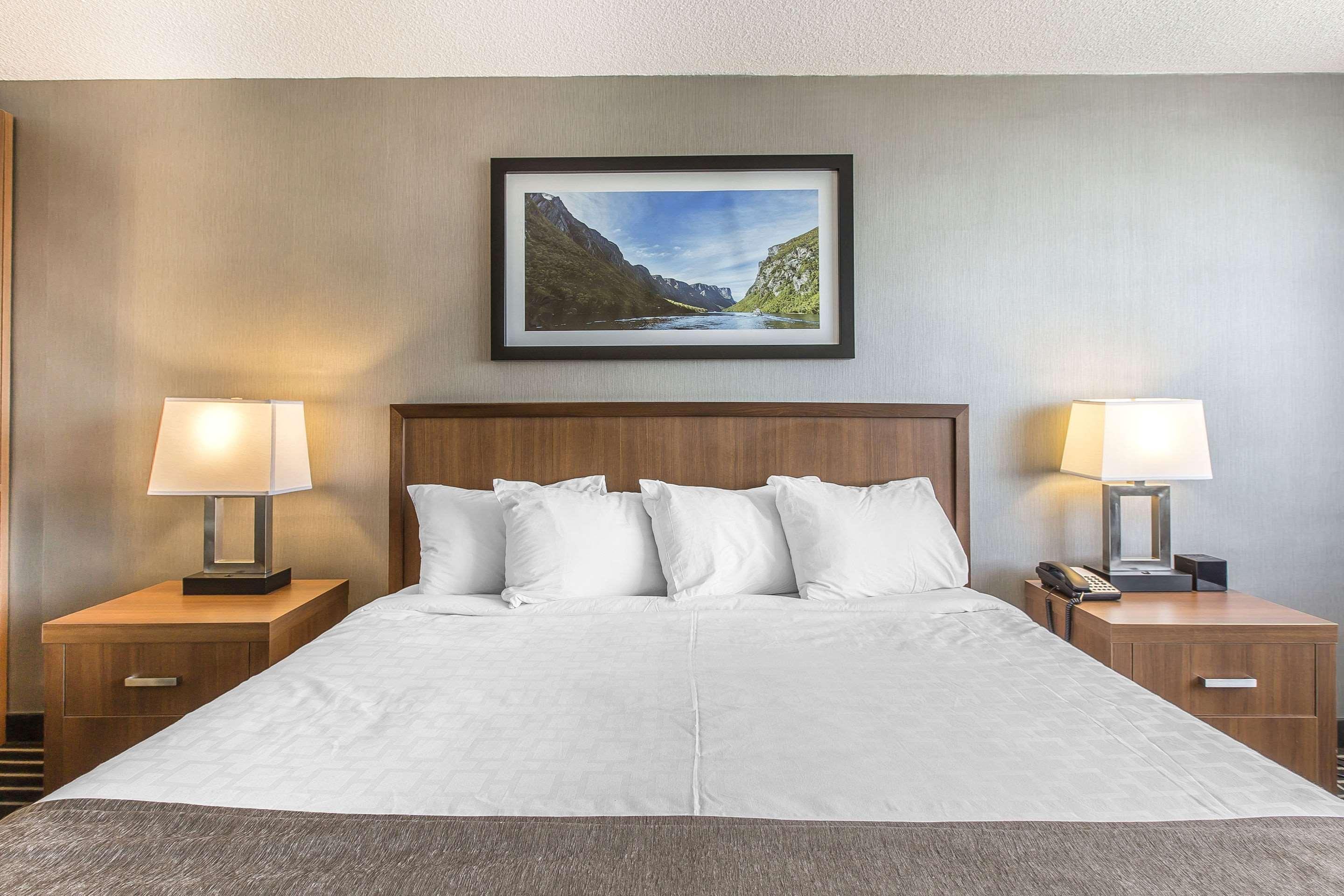 Quality Inn Corner Brook Dış mekan fotoğraf