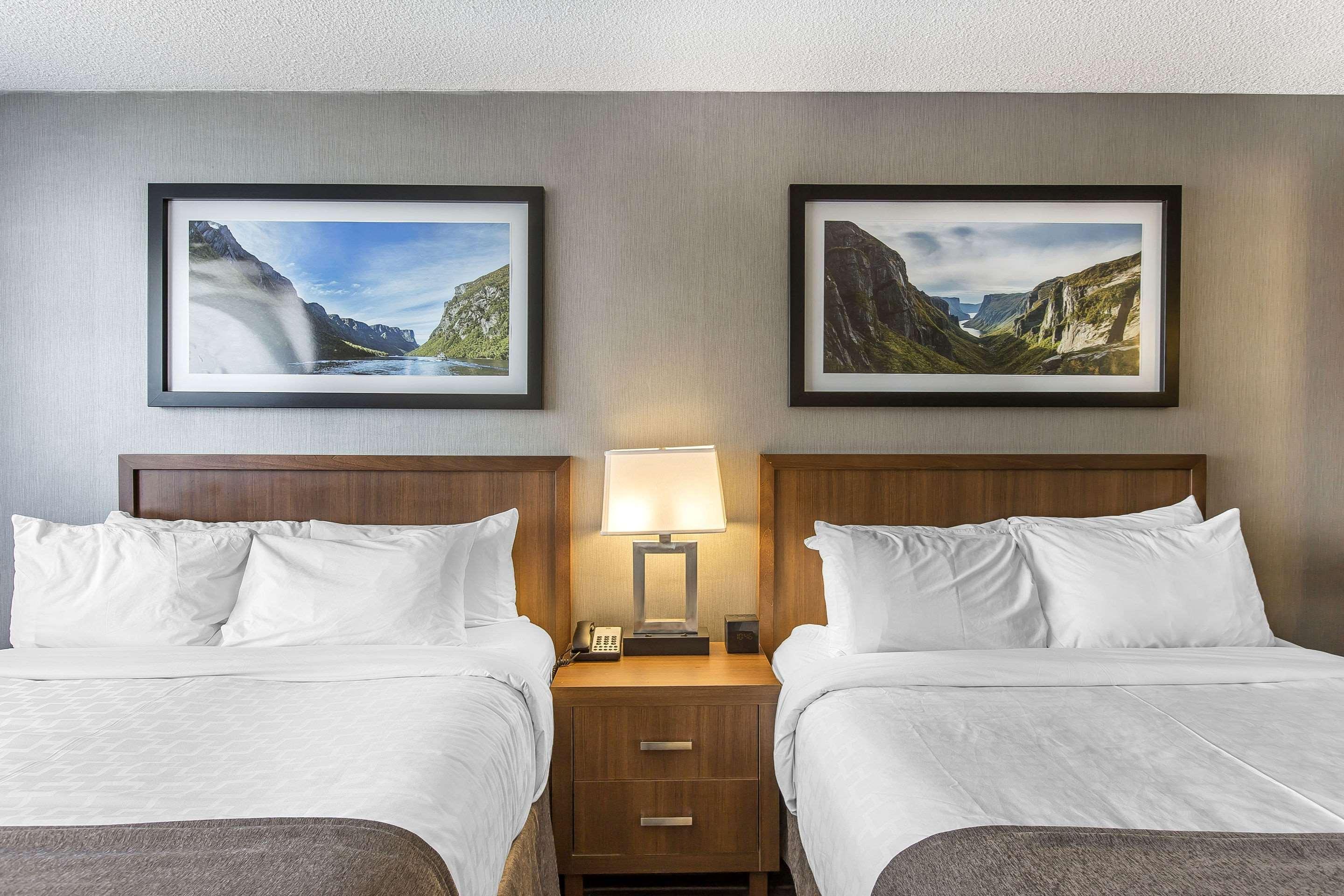 Quality Inn Corner Brook Dış mekan fotoğraf